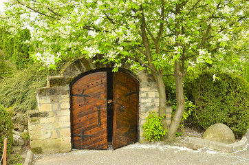 Blossoming tree in spring time in a park and a wooden gate