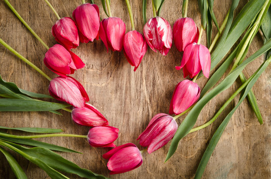 The heart-shaped frame of fresh tulips is laying on an old rusti