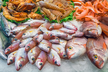 Tasty fish and seafood for sale at a market