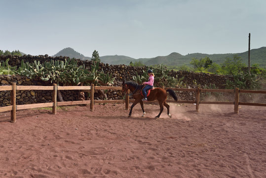 cavali&egrave;re