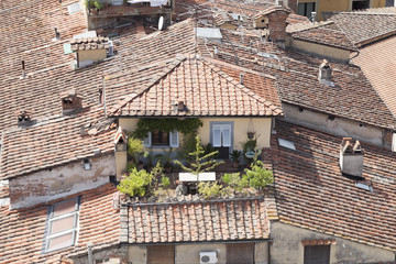 Tetti storici di Lucca