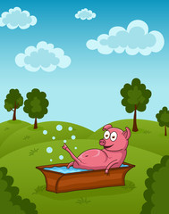 Funny pinky Pig