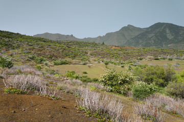 chemin de randonnée