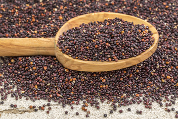 black quinoa grain grown in Bolivia