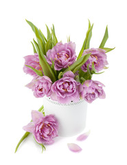 Pink tulips in metal flowerpot