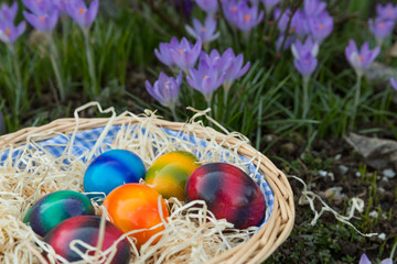 Fototapeta na wymiar Easter eggs in the grass