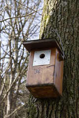 birdhouse