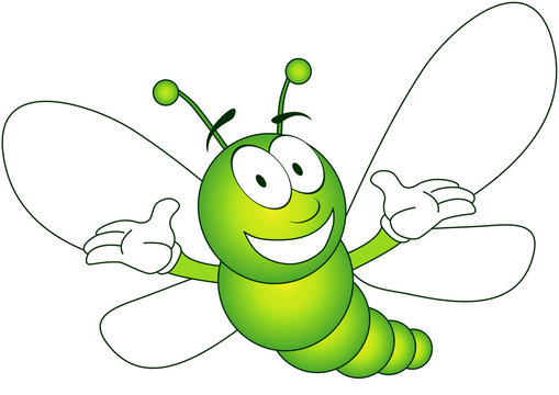 insecte