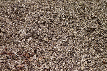Fototapeta premium Rindenmulch