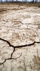 Risse im Lehmboden