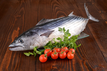 tonno palamita - bonito tuna