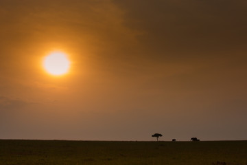 Sunset over the Masai Mara Kenia