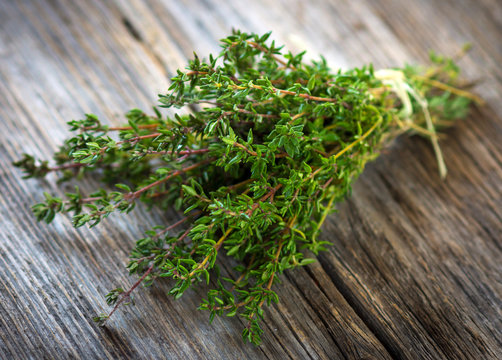 Bunch of fresh picked thyme