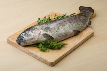 Raw fresh trout