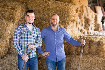 Two farmers working in barn