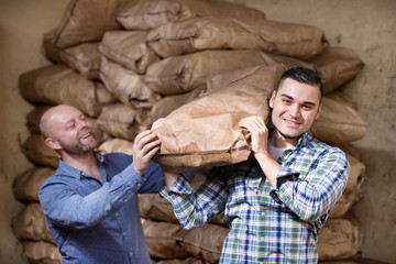 Fototapeta premium Workers carrying bags of cement