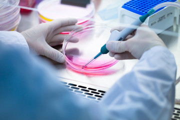 Laboratory work with tissue cultures