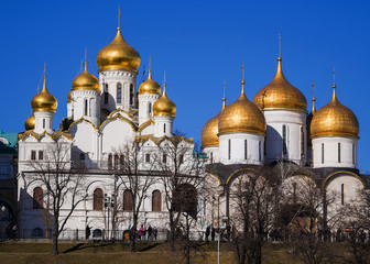 Fototapeta na wymiar Church of the Moscow Kremlin, Russia