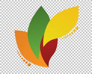color leaves over a blank design layer