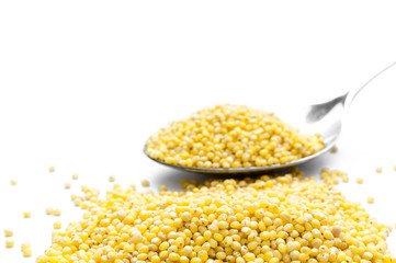 Goldhirse freigestellt