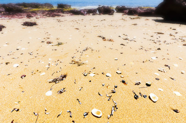 Red Rocks Beach on sunny day, Phillip Island, Australia
