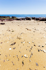 Red Rocks Beach on sunny day, Phillip Island, Australia