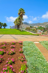 Obraz premium Flowers in a park in Camara de Lobos, Madeira island, Portugal