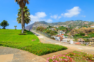Obraz premium Flowers in a park in Camara de Lobos, Madeira island, Portugal