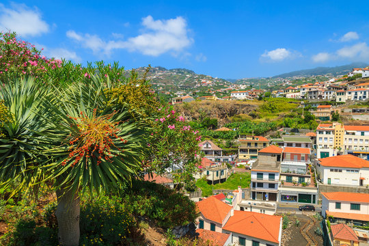 View of Camara de Lobos village on coast of Madeira island