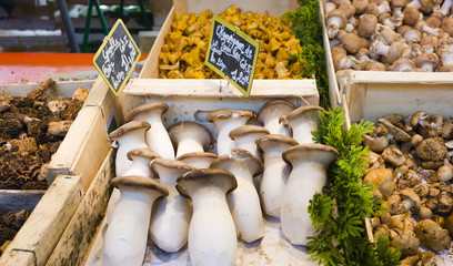 Fresh mushrooms in a French market in Paris, France