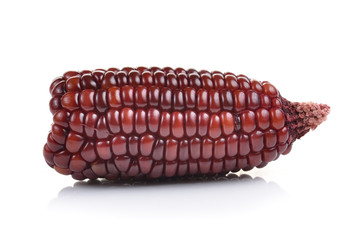 purple corn on a over white background