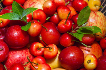 Pile of fruits close up