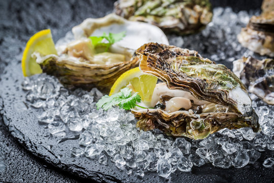 Tasty oysters on ice with lemon