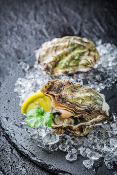 Tasty oysters on crushed ice ready to eat