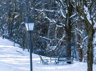 lamppost in snowy park