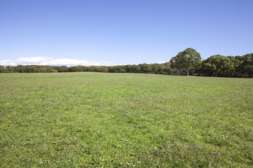 草原　東京