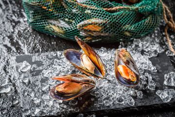 Fresh mussels on ice