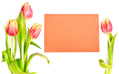 Tulips alongside an orange envelope on white background