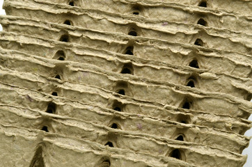 Peat Torba Torf Turba Tørv Tourbe Τύρφη Торф Torf Turfa