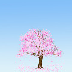満開の桜の木