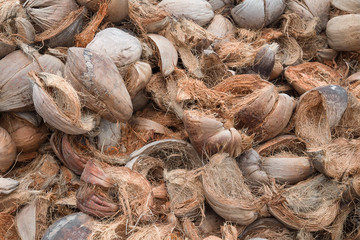 Dry coconut shells.