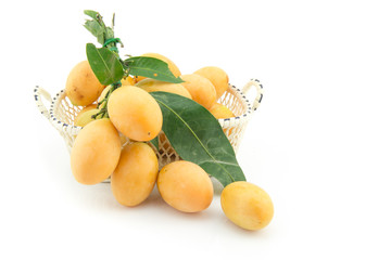 Marian plum isolated in white background