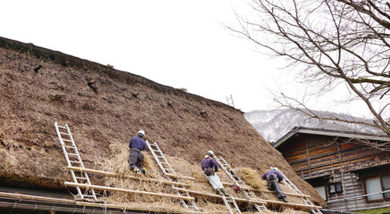 Local craftman changing the straw roof in Japan