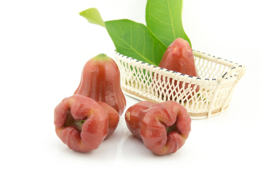 rose apple isolated on white background