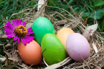 Easter eggs and flower