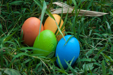 Easter eggs on green grasses