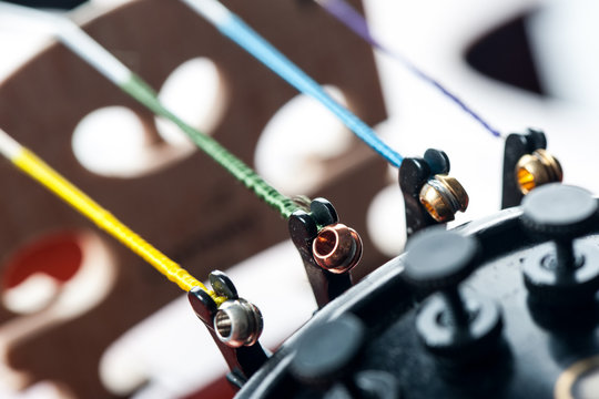 Violin