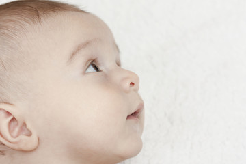 baby on a white background