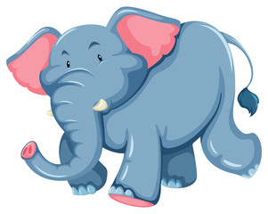 Blue elephant