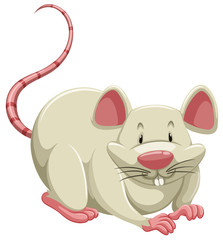 White mouse